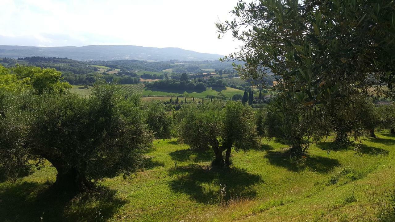 Montevenere 83 Villa Chiusi Buitenkant foto