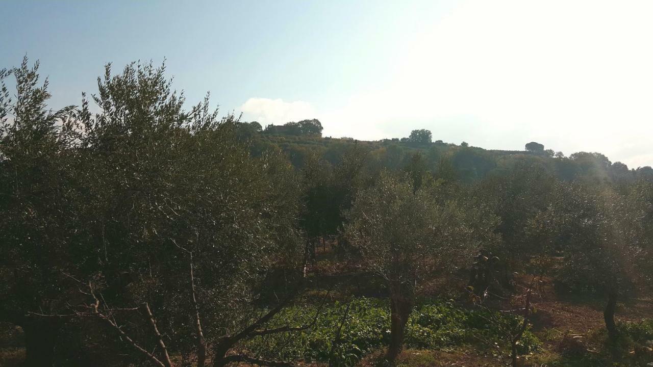 Montevenere 83 Villa Chiusi Buitenkant foto